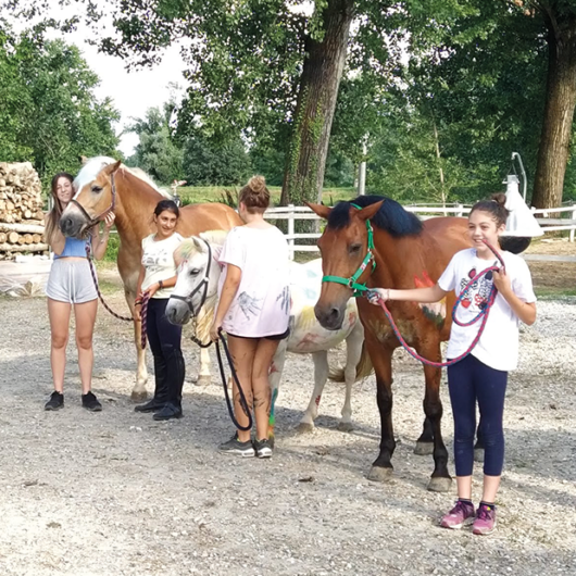 Cavallo scuola